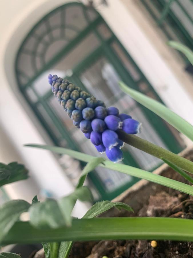 Forst-Haz Apartman Έγκερ Εξωτερικό φωτογραφία